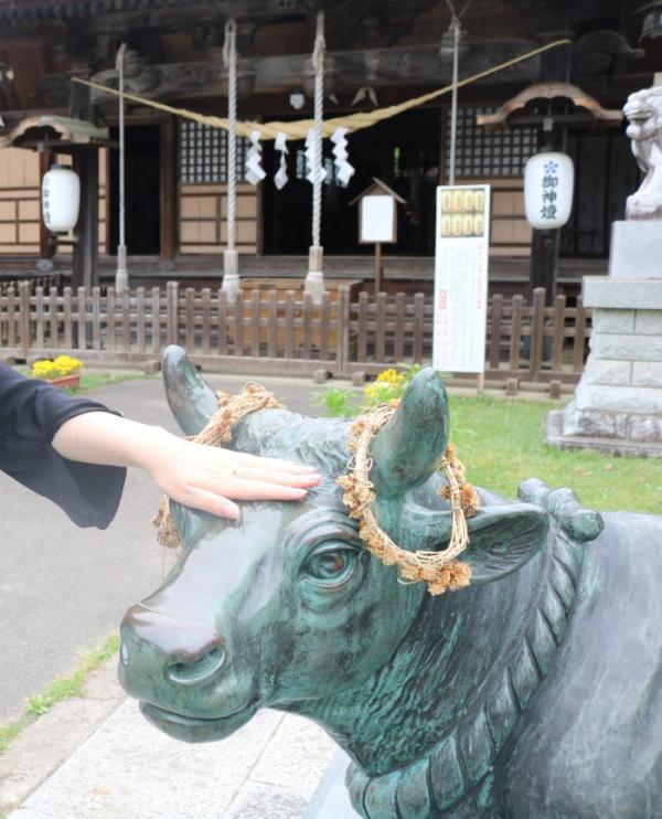 梁川天神社で大きい牛の頭を触りました