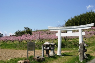 高子岡城跡入口の写真