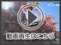 11月16日の映像をみる