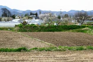 粟野大館の土塁跡と思われる場所の写真
