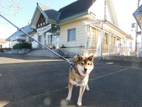 梁川駅とナッツくん