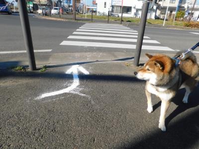 あぶQヲォーク