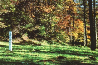 霊山寺大伽藍跡の写真