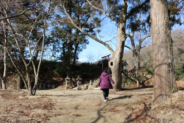 The Discovery of Yet Another Shrine ・ 再び、神社の発見