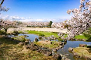 桜の木々と梁川城跡の庭園跡の写真