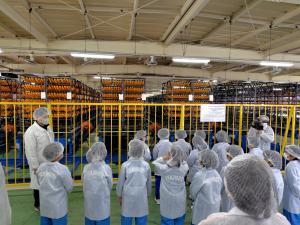 あんぽ工房を見学している児童の写真